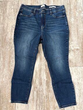 Wonderly Women's Dark Blue High-Rise Pull-On Skinny Jeans